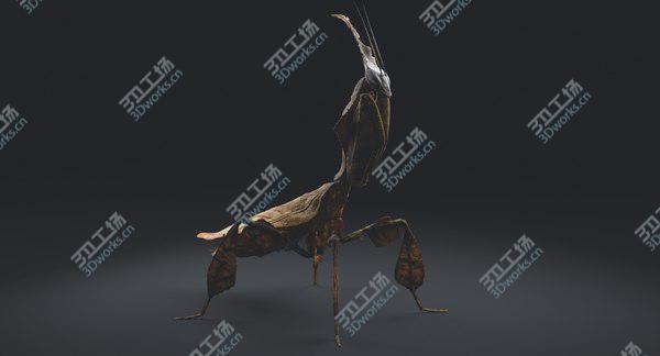 images/goods_img/20210312/Ghost Mantis Rigged 3D/3.jpg